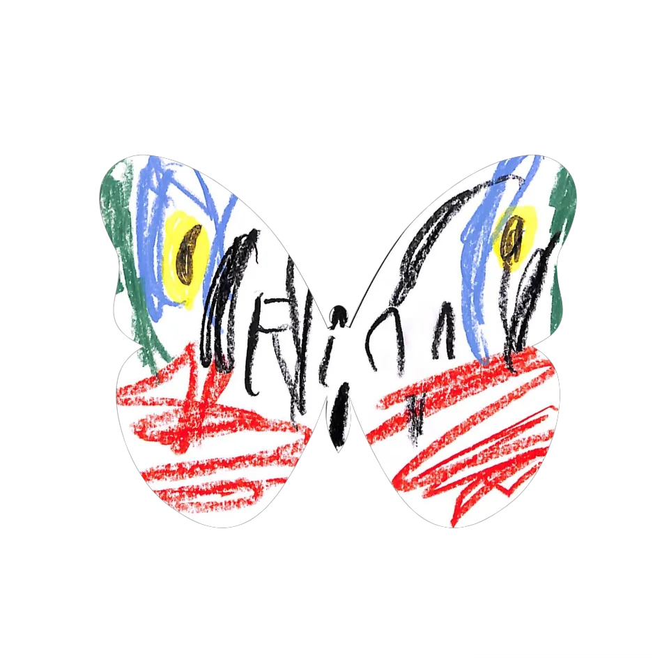Original Butterfly Image