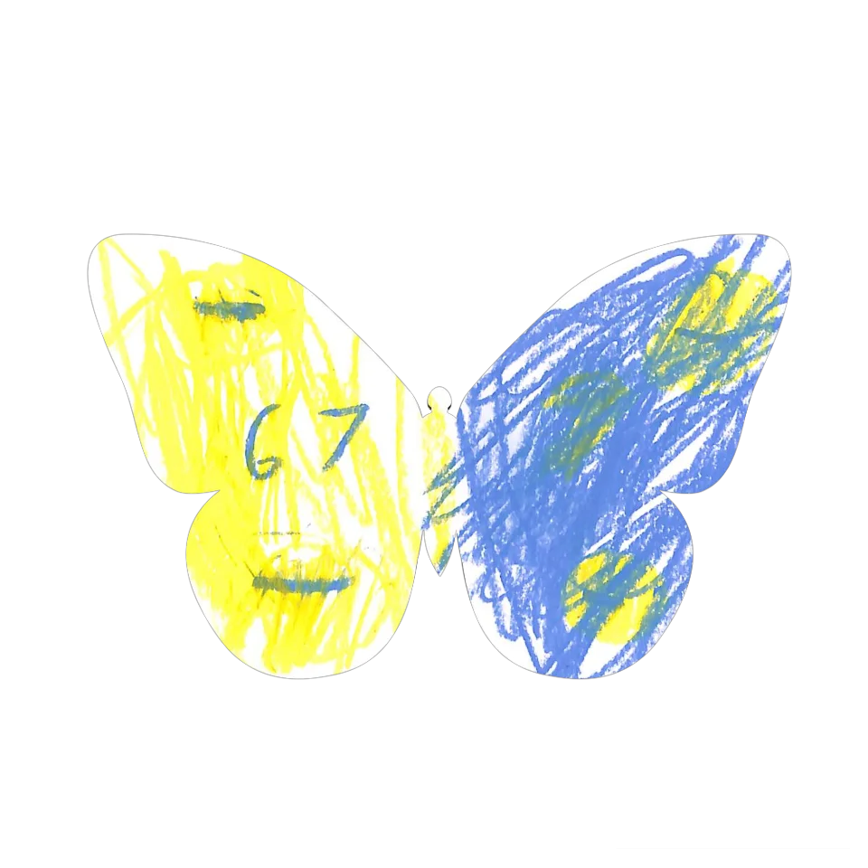 Original Butterfly Image