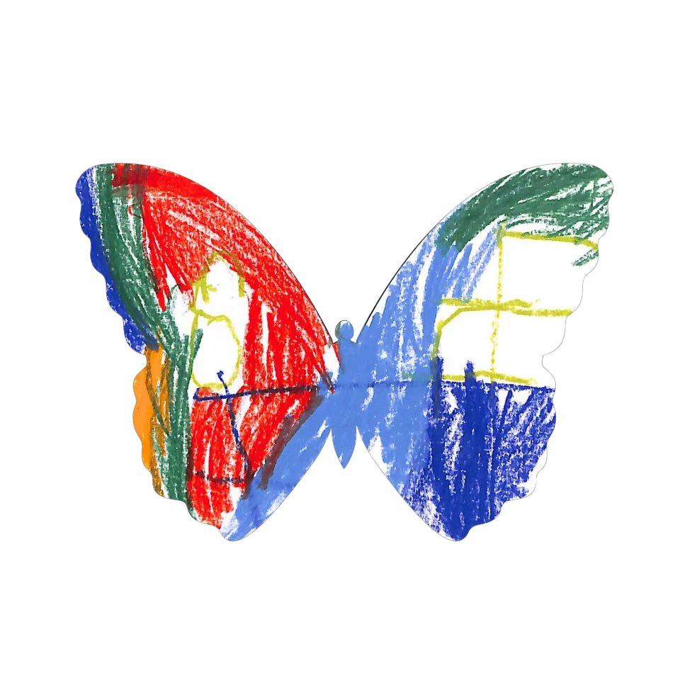 Original Butterfly Image