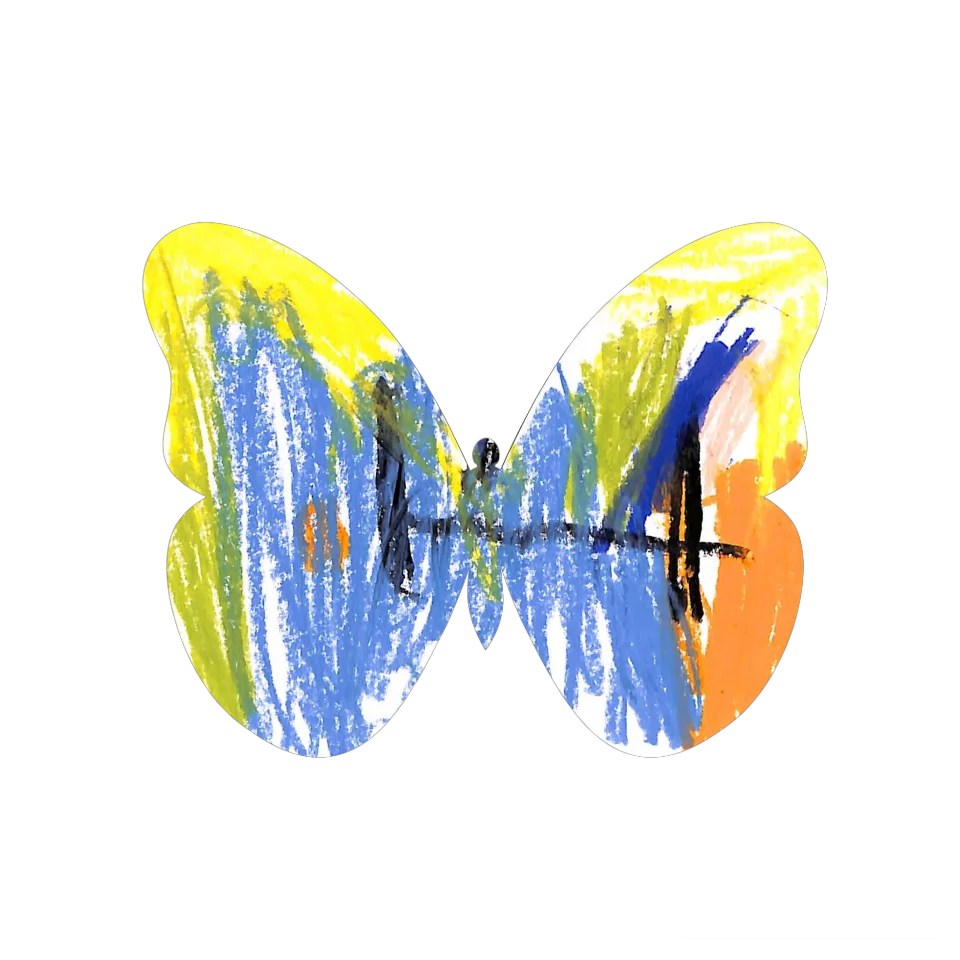 Original Butterfly Image