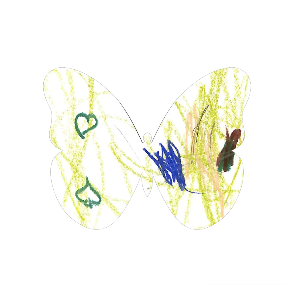 Original Butterfly Image