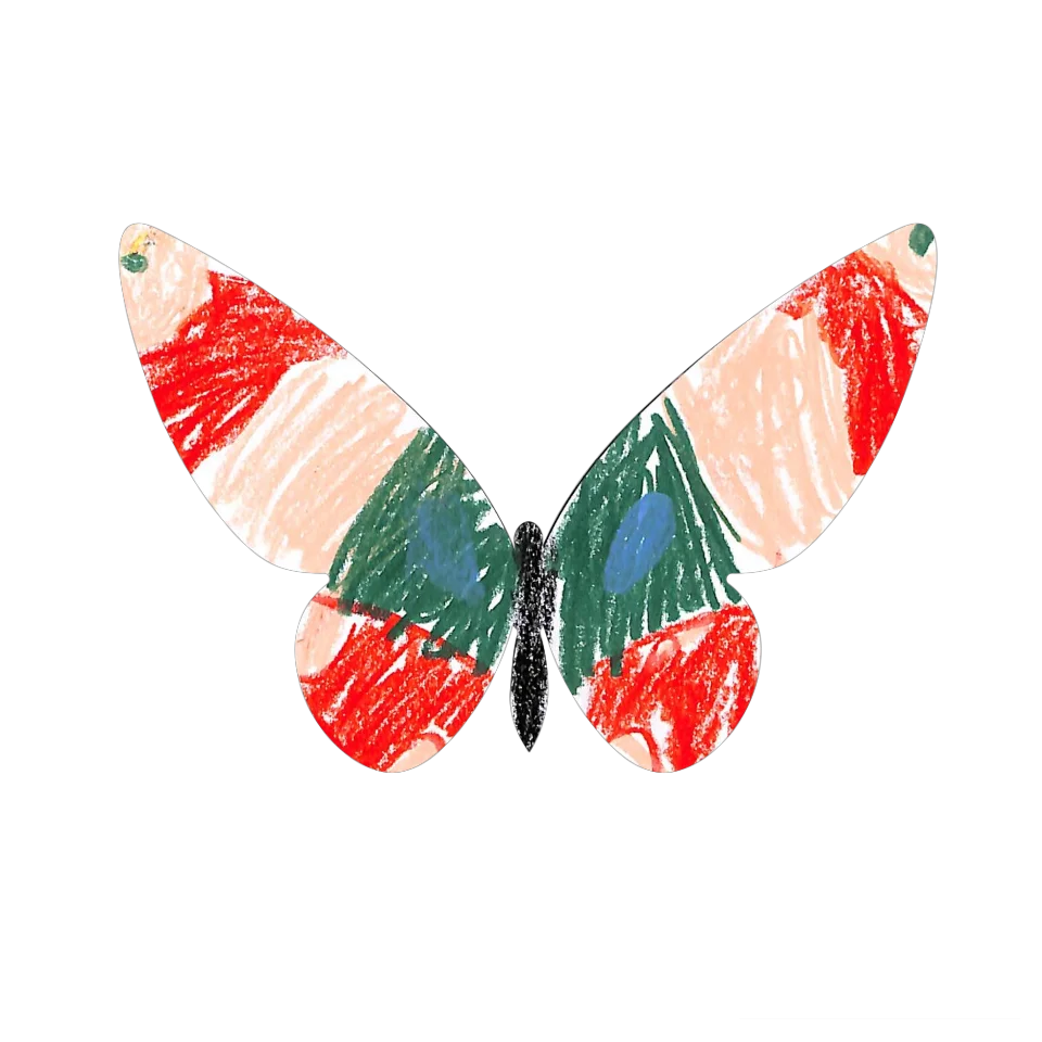 Original Butterfly Image