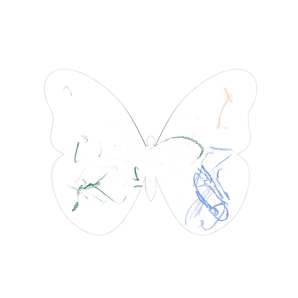 Original Butterfly Image