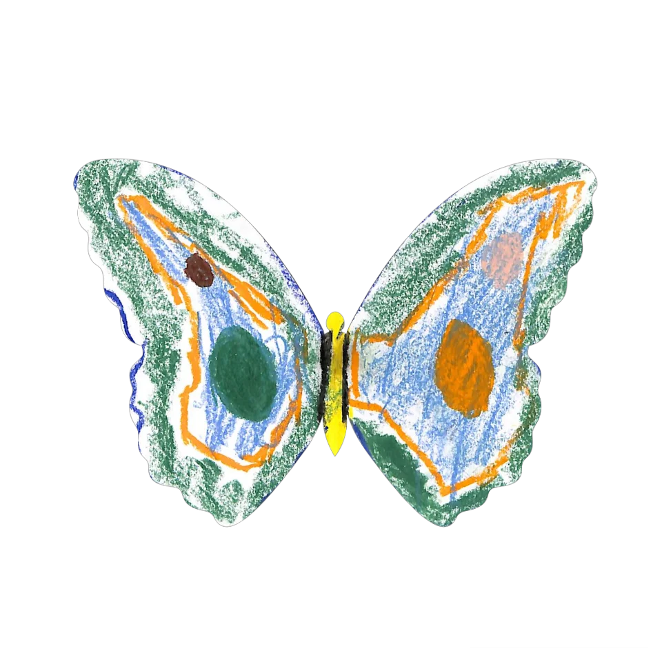 Original Butterfly Image