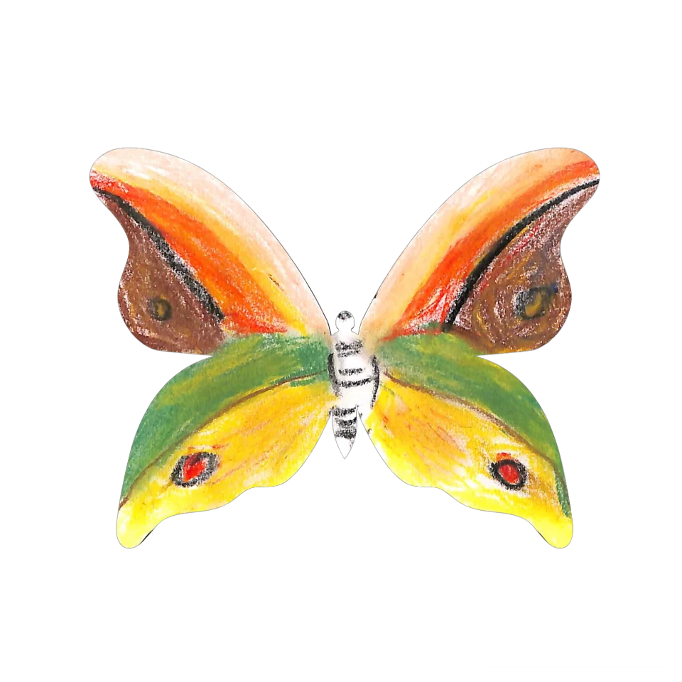 Original Butterfly Image