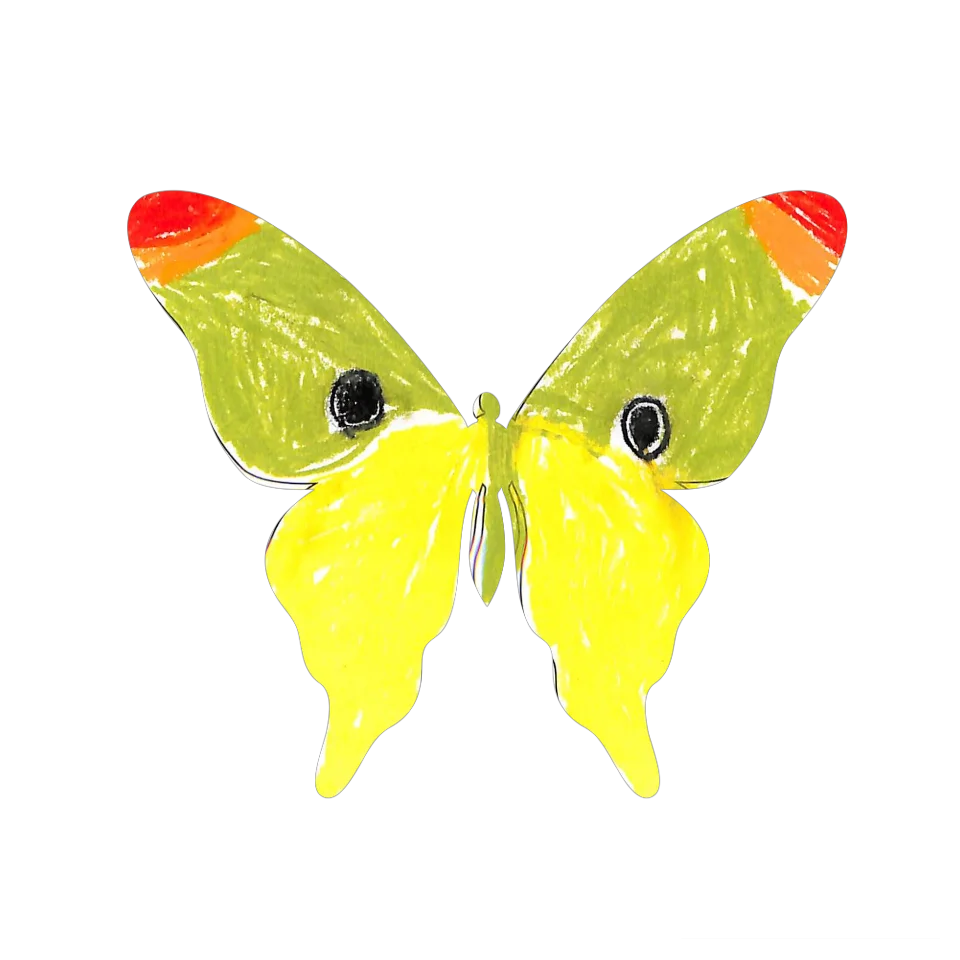Original Butterfly Image