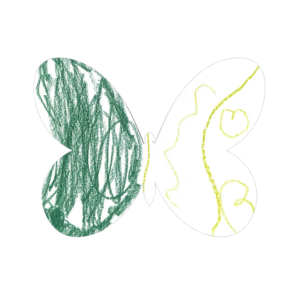Original Butterfly Image