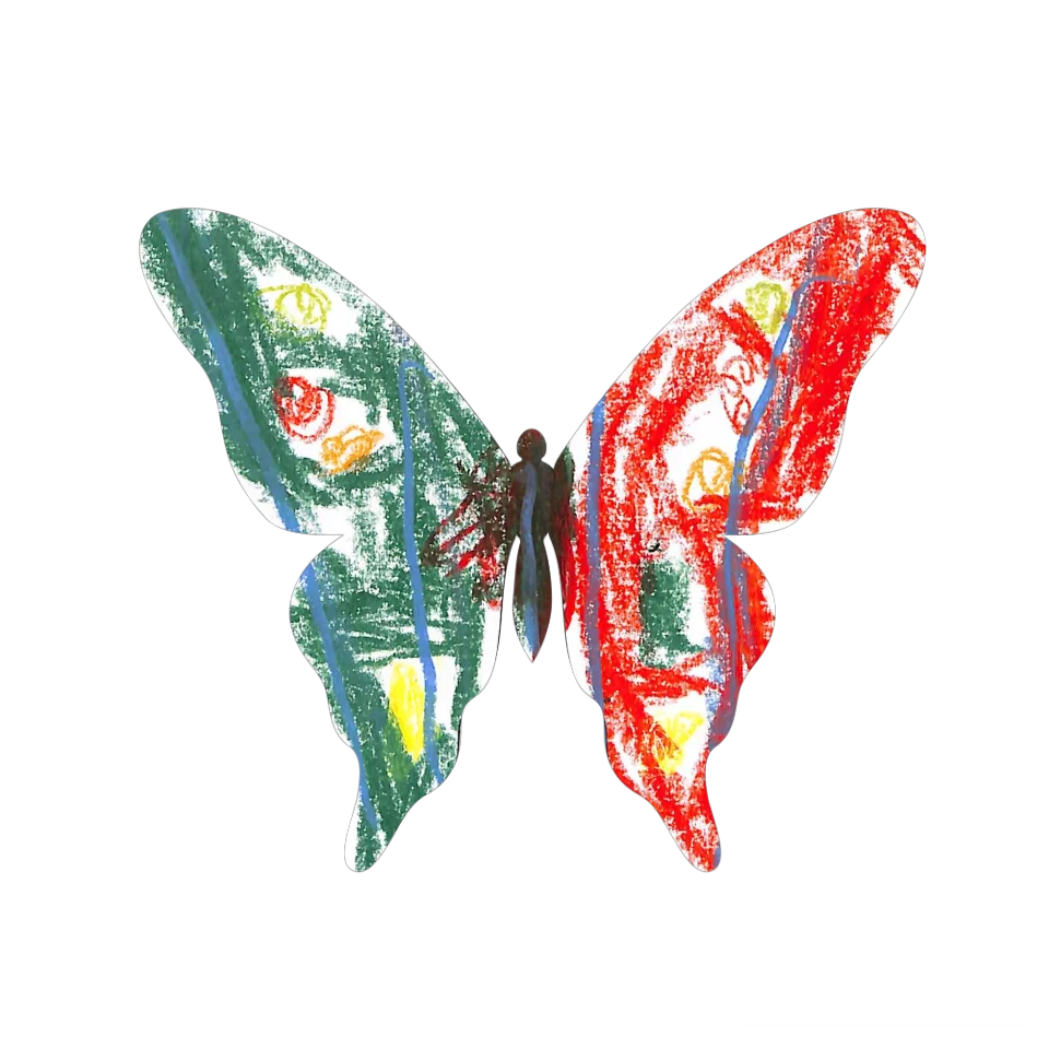 Original Butterfly Image