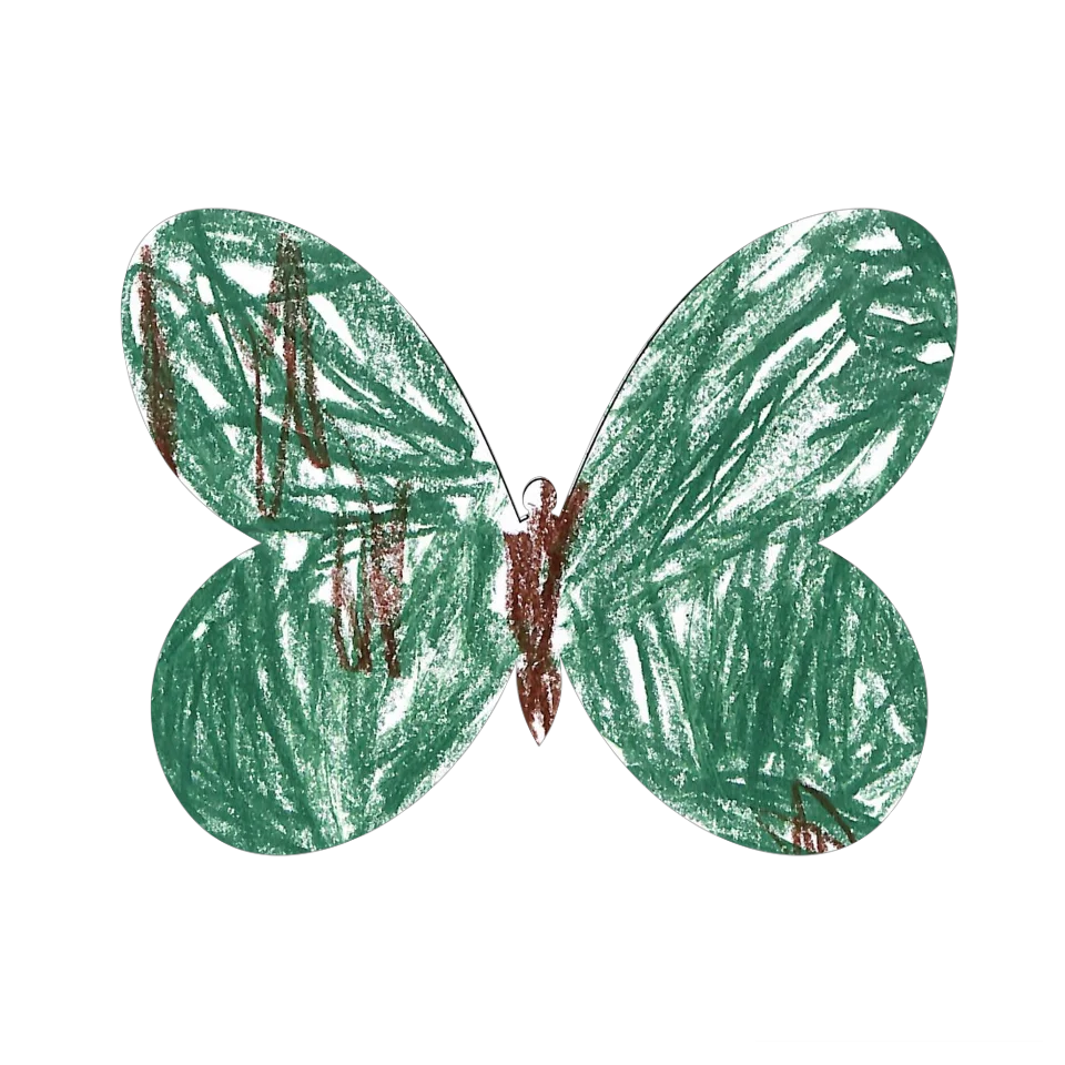 Original Butterfly Image