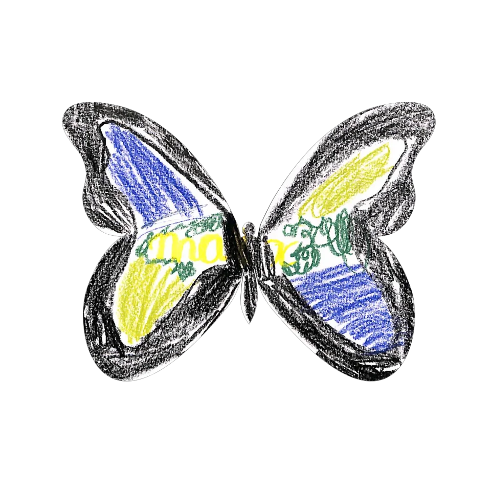 Original Butterfly Image