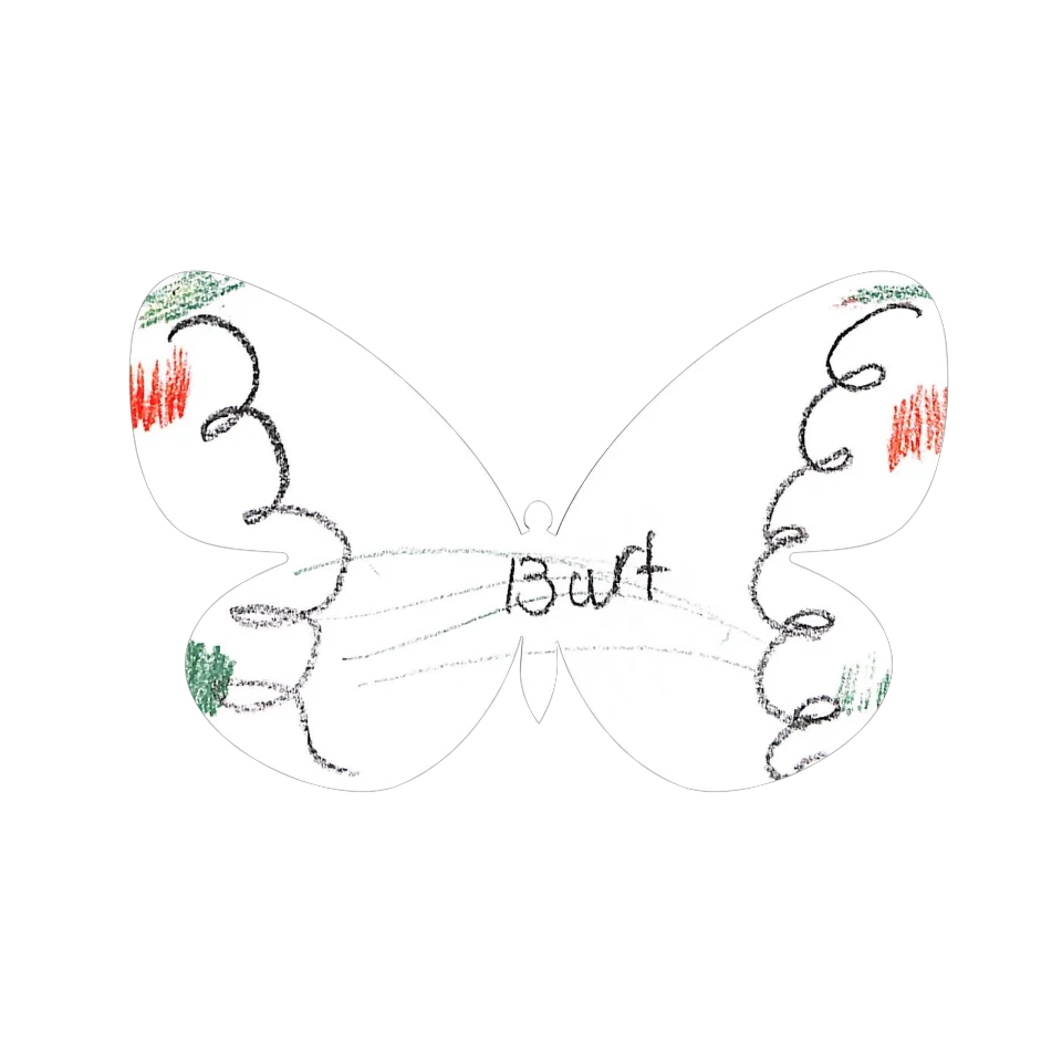 Original Butterfly Image