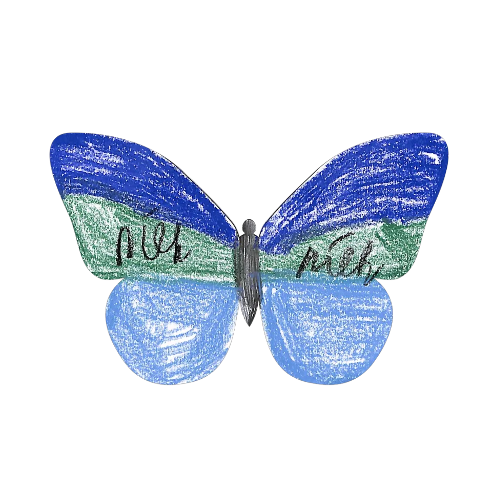 Original Butterfly Image