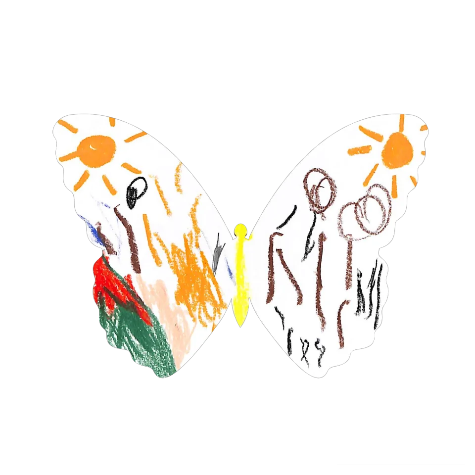 Original Butterfly Image