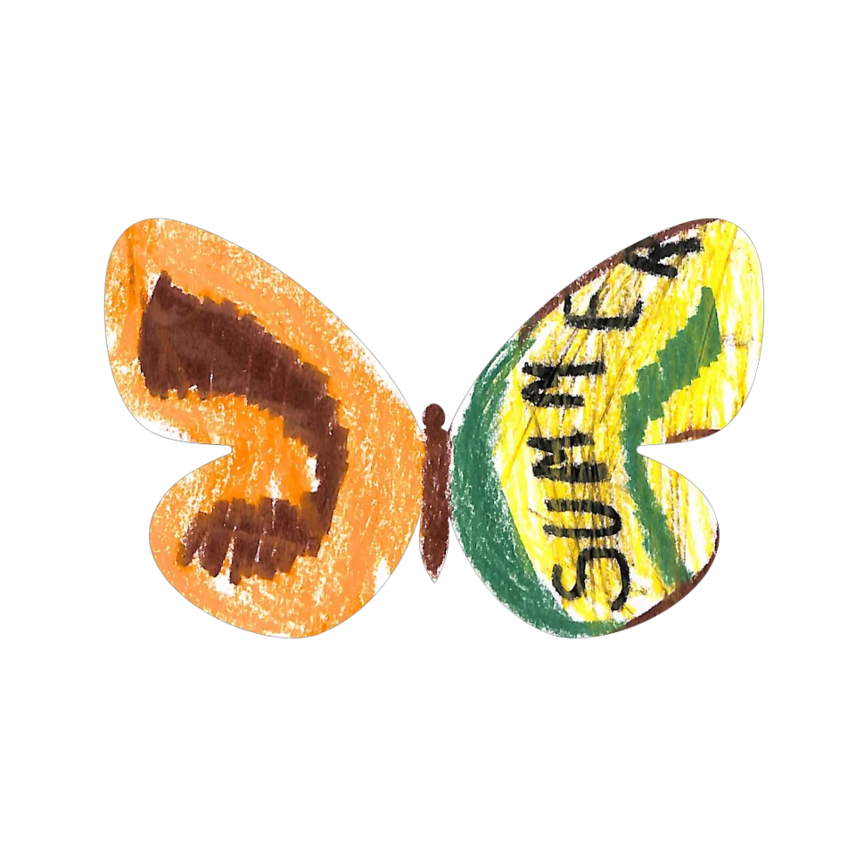 Original Butterfly Image