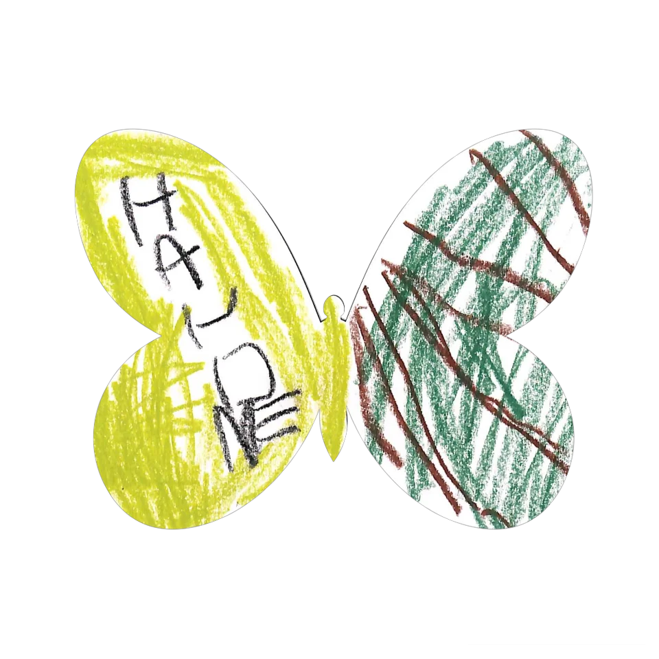 Original Butterfly Image