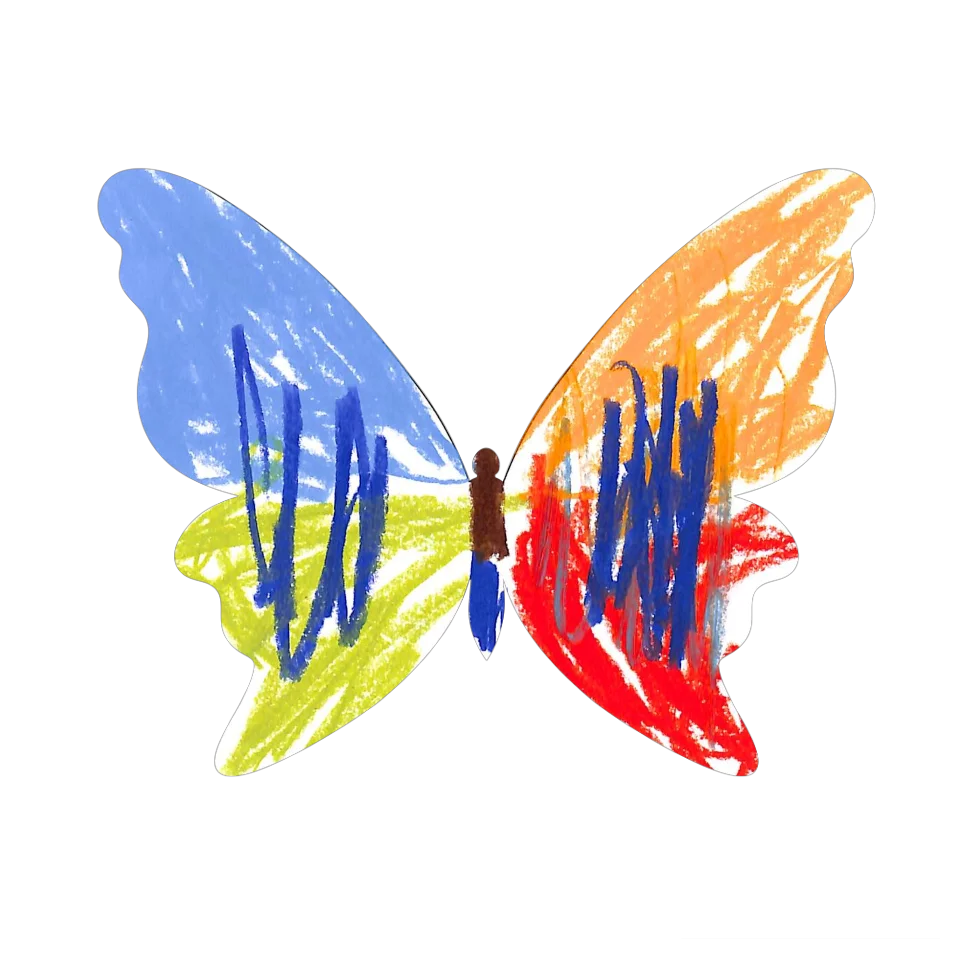 Original Butterfly Image