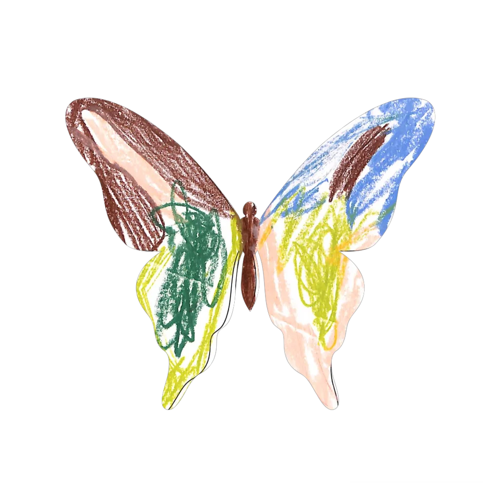 Original Butterfly Image