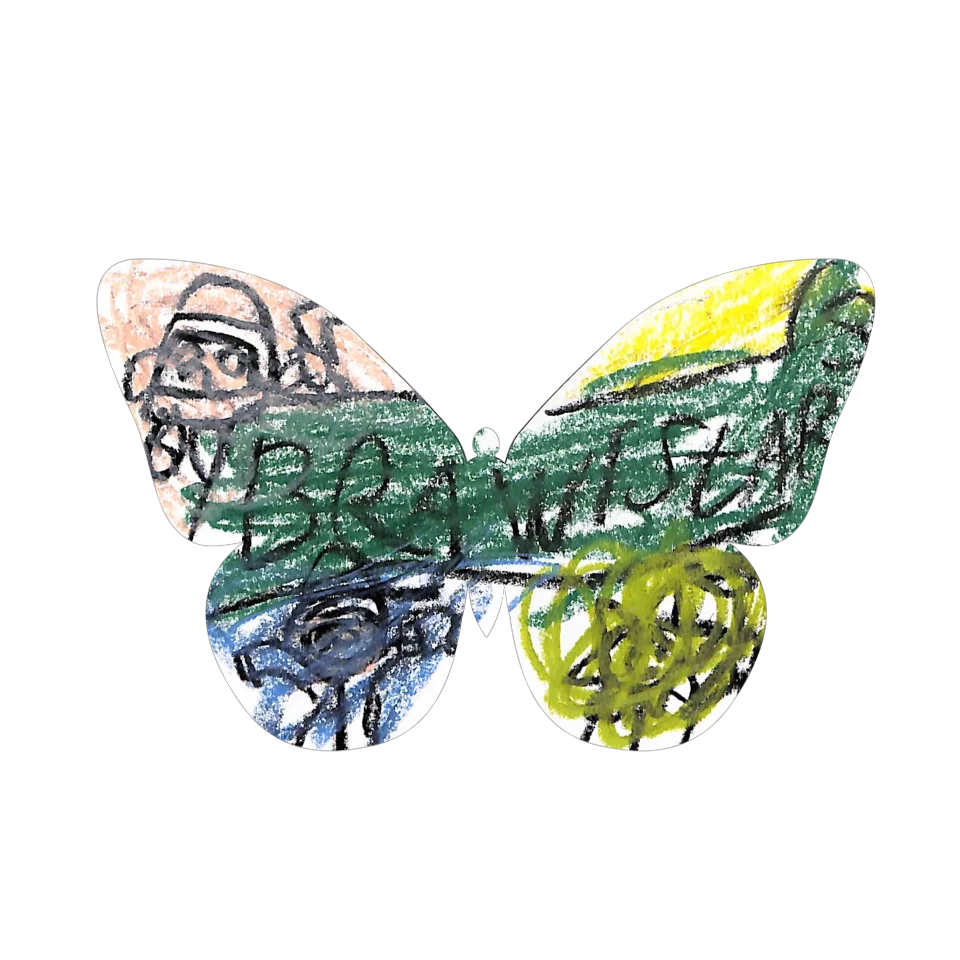 Original Butterfly Image