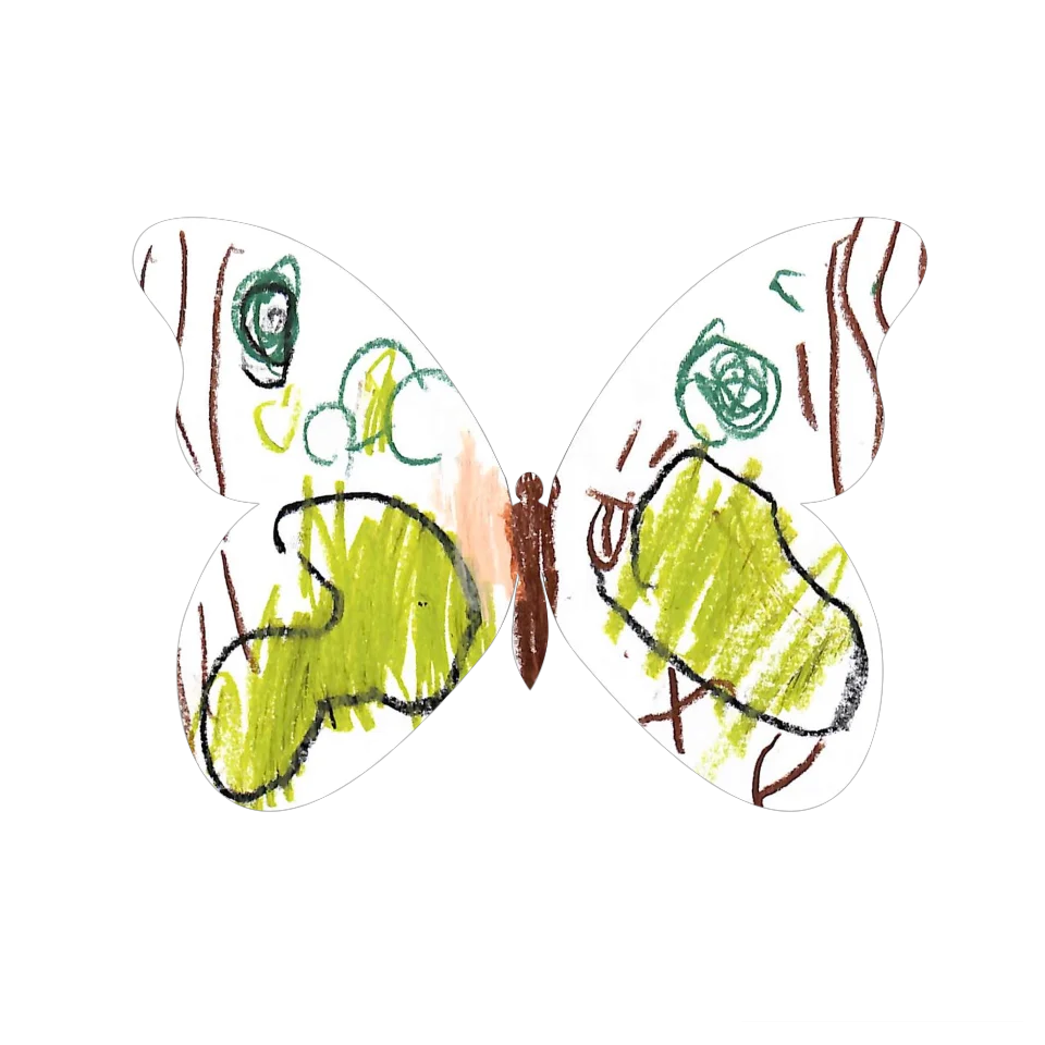 Original Butterfly Image