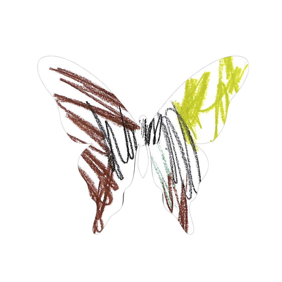 Original Butterfly Image