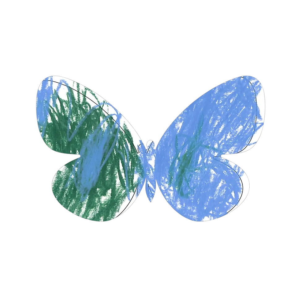 Original Butterfly Image