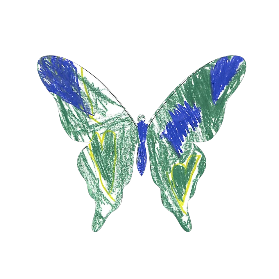 Original Butterfly Image