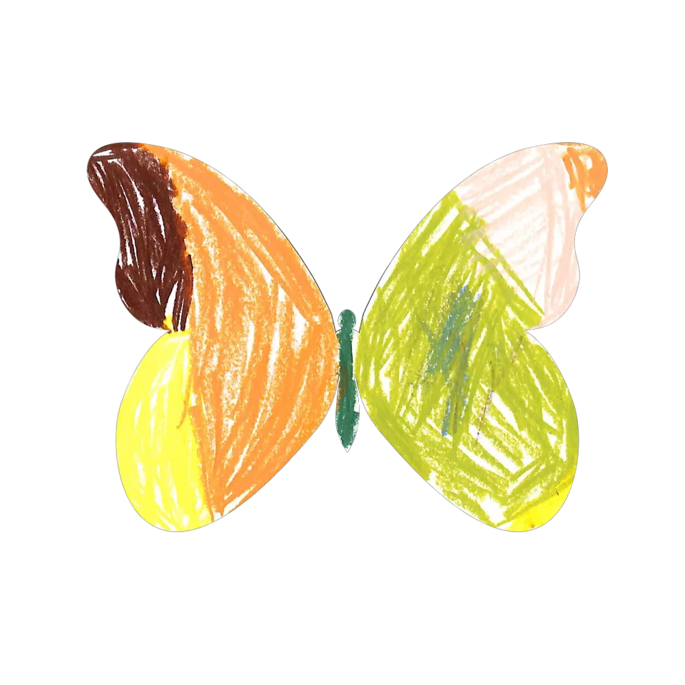 Original Butterfly Image