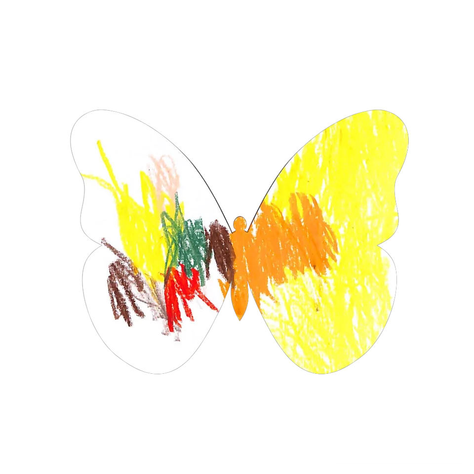 Original Butterfly Image