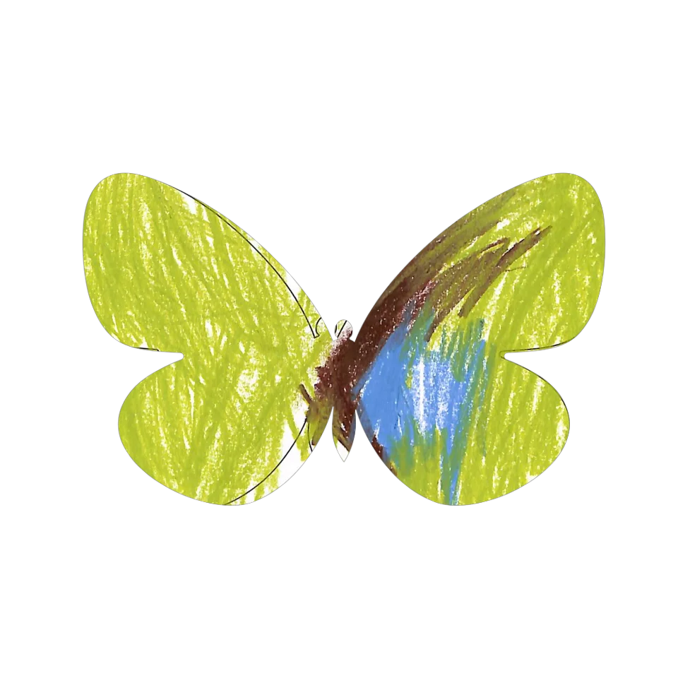 Original Butterfly Image