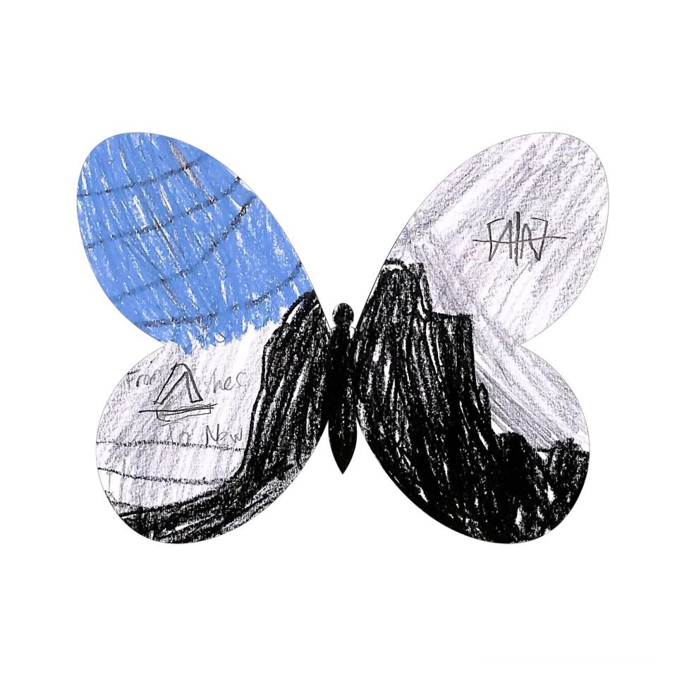 Original Butterfly Image