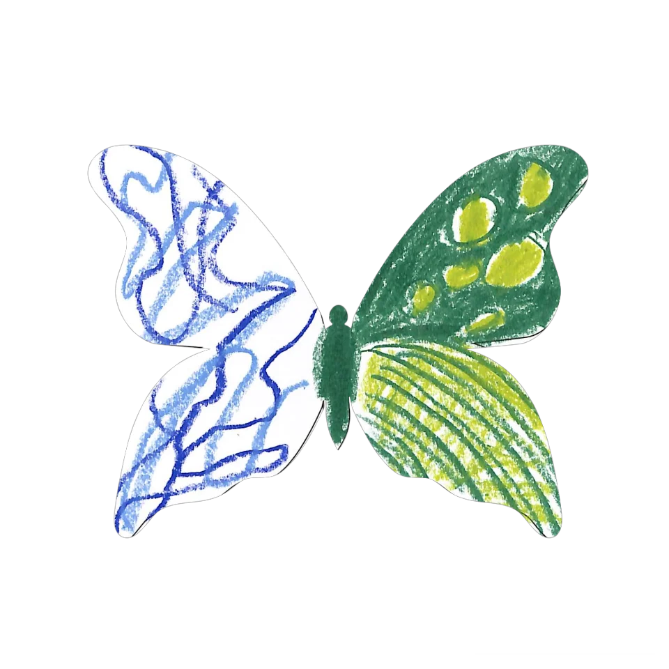 Original Butterfly Image