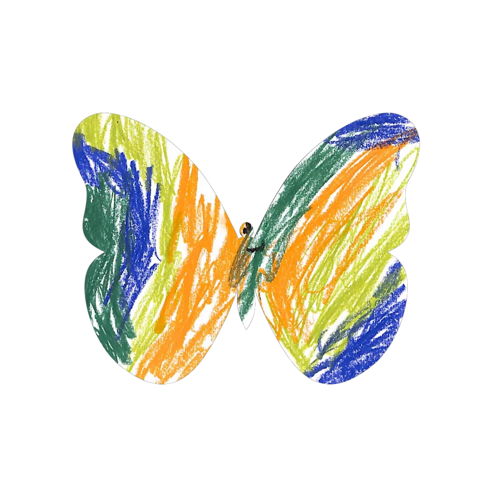 Original Butterfly Image