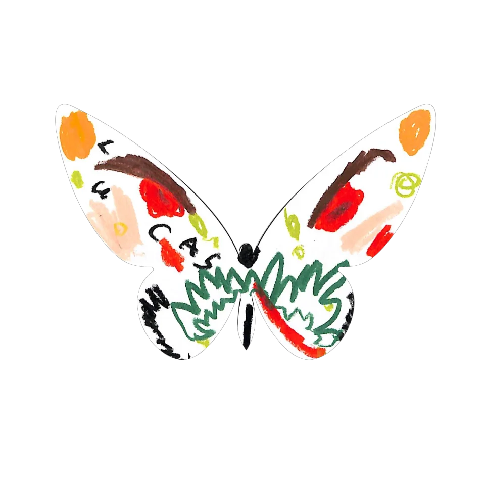 Original Butterfly Image