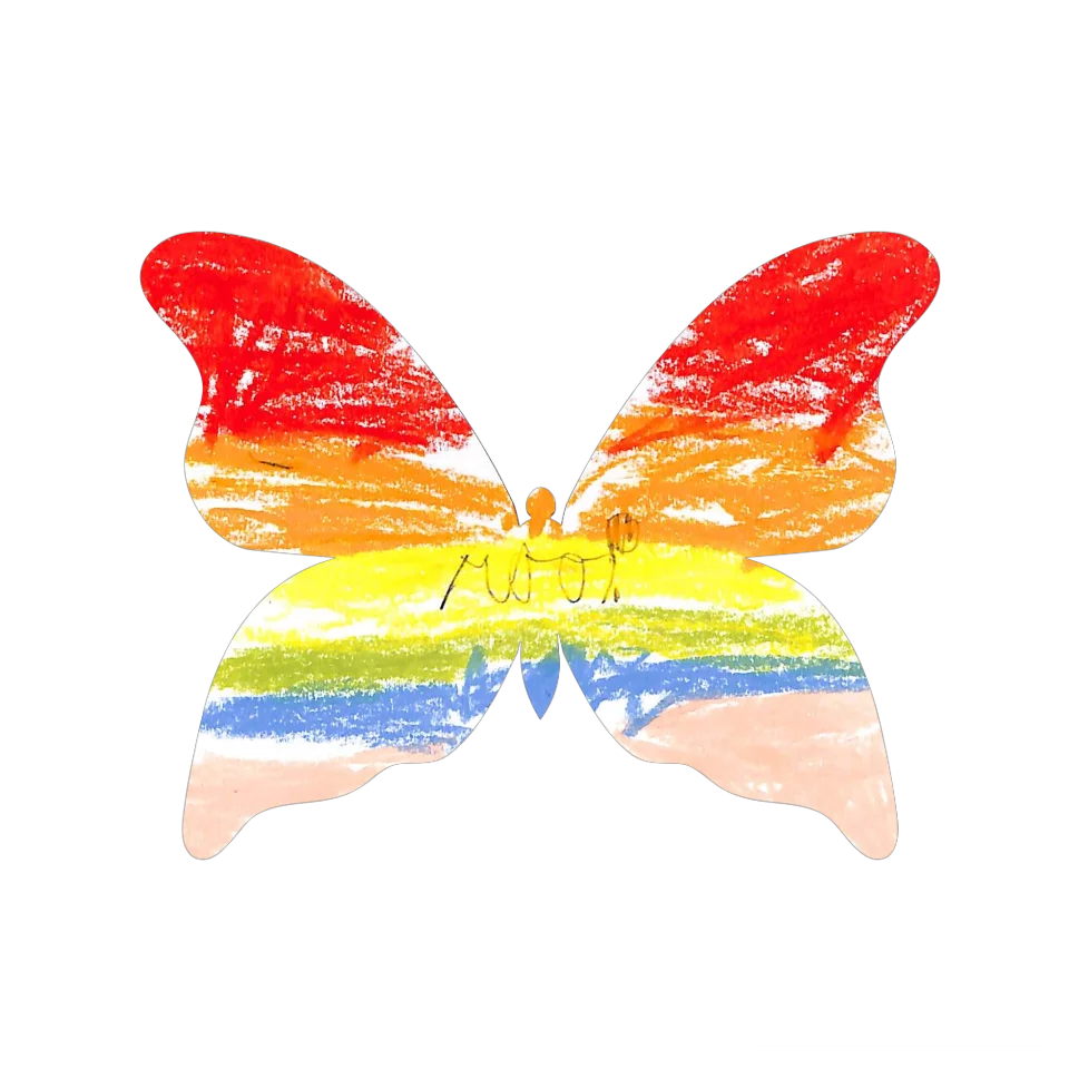 Original Butterfly Image