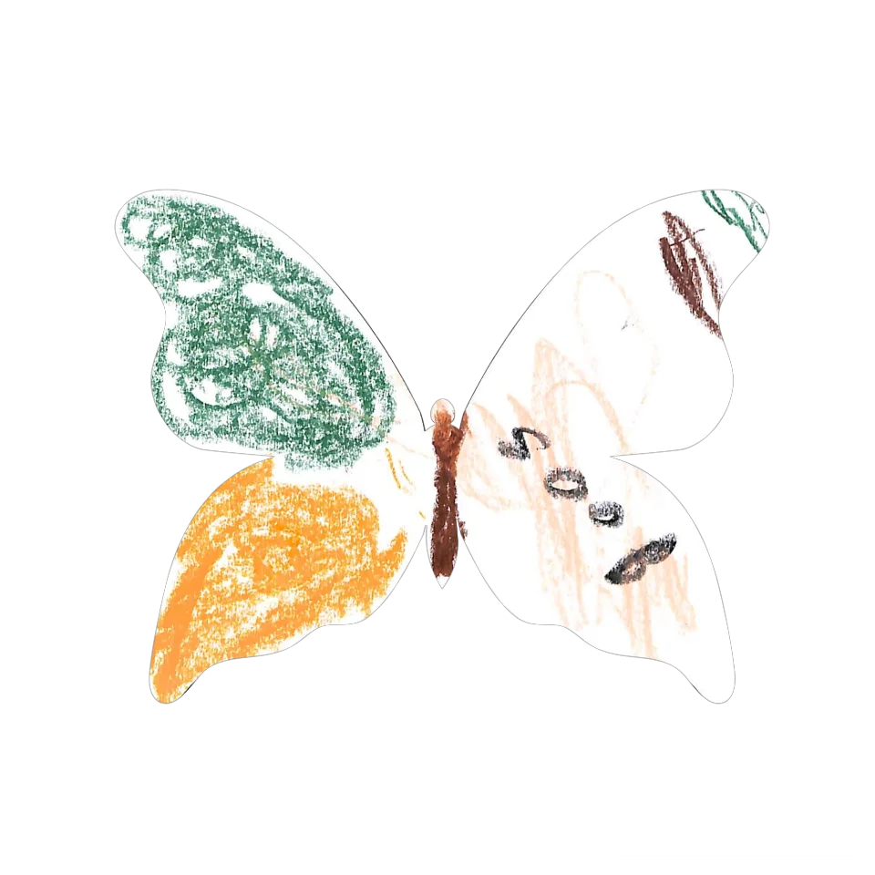 Original Butterfly Image