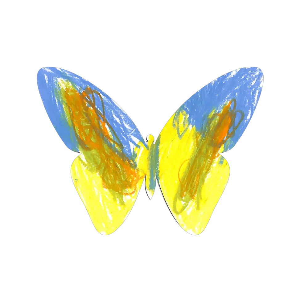 Original Butterfly Image