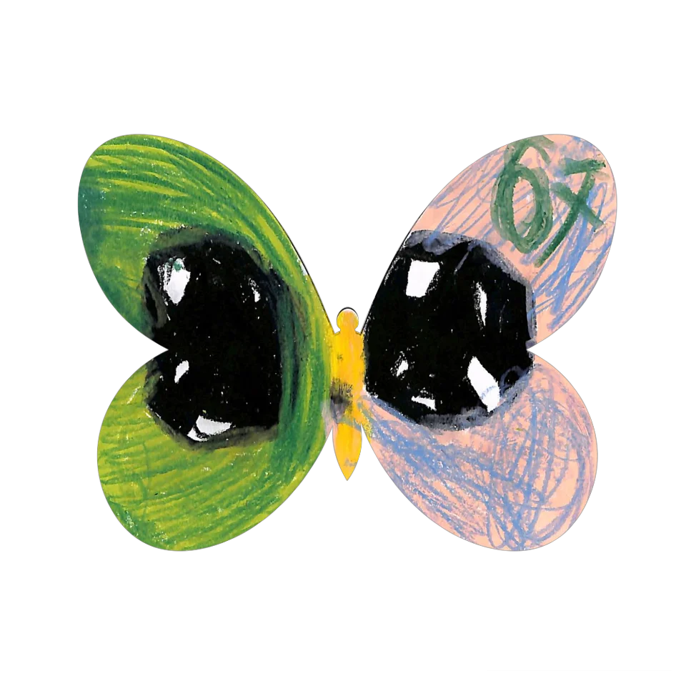 Original Butterfly Image