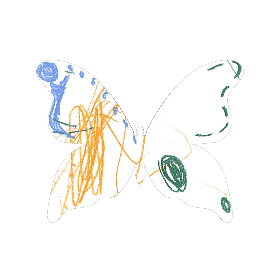 Original Butterfly Image