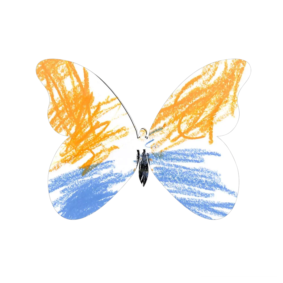 Original Butterfly Image
