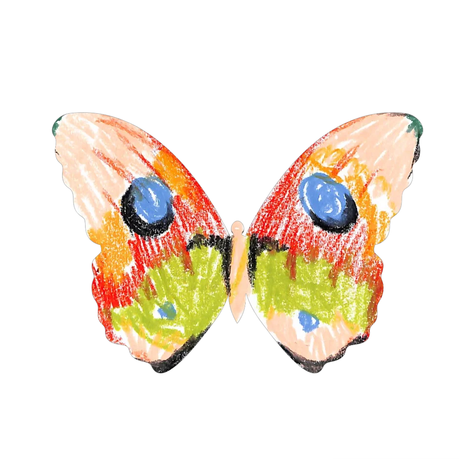 Original Butterfly Image
