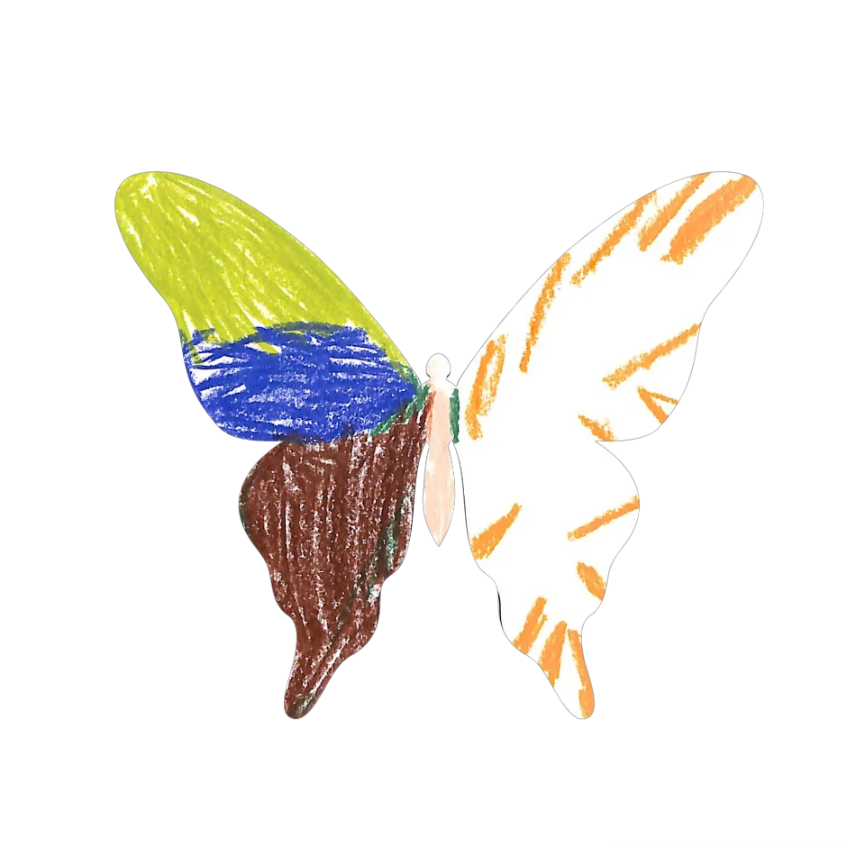 Original Butterfly Image