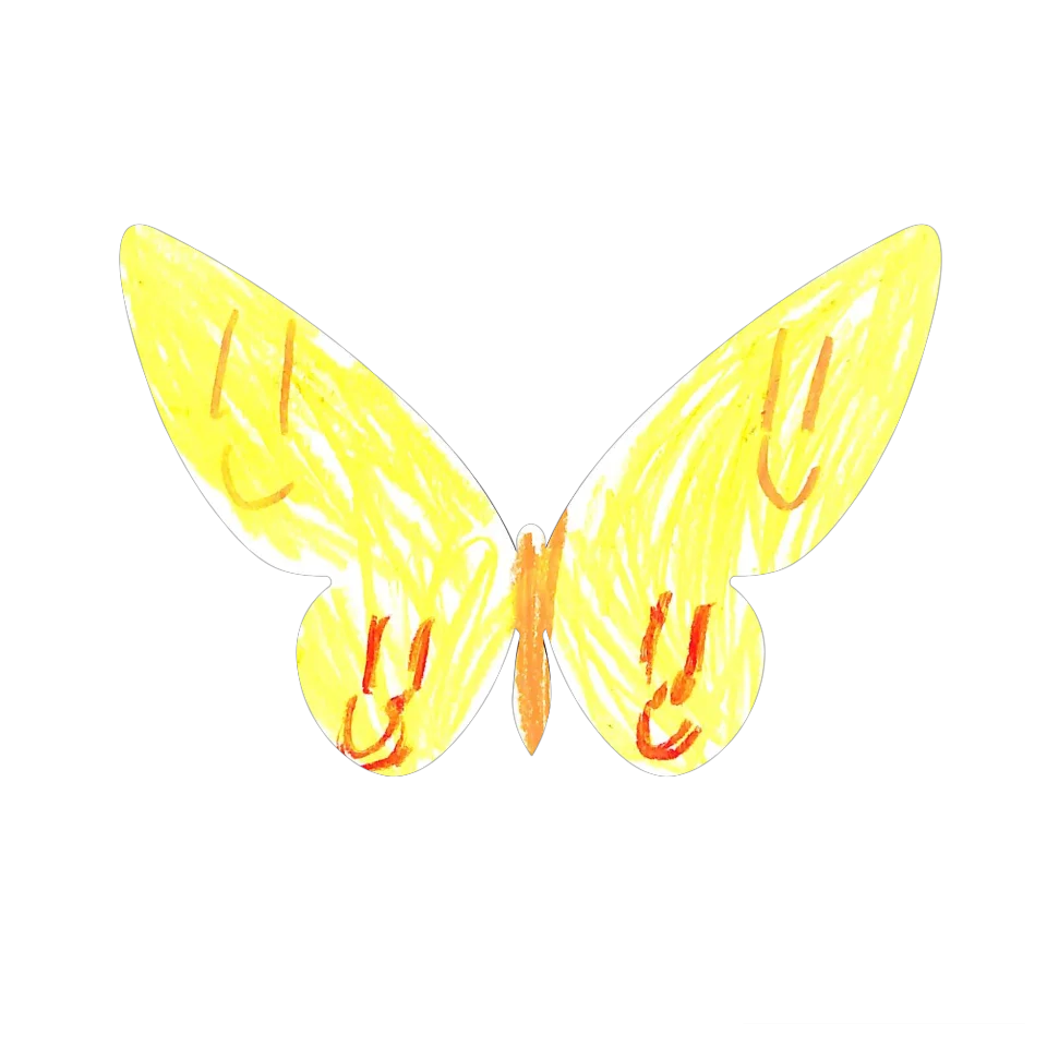 Original Butterfly Image